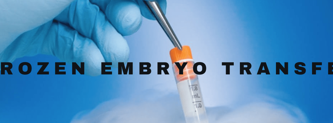 Frozen Embryo Transfers: 6 Things to Know